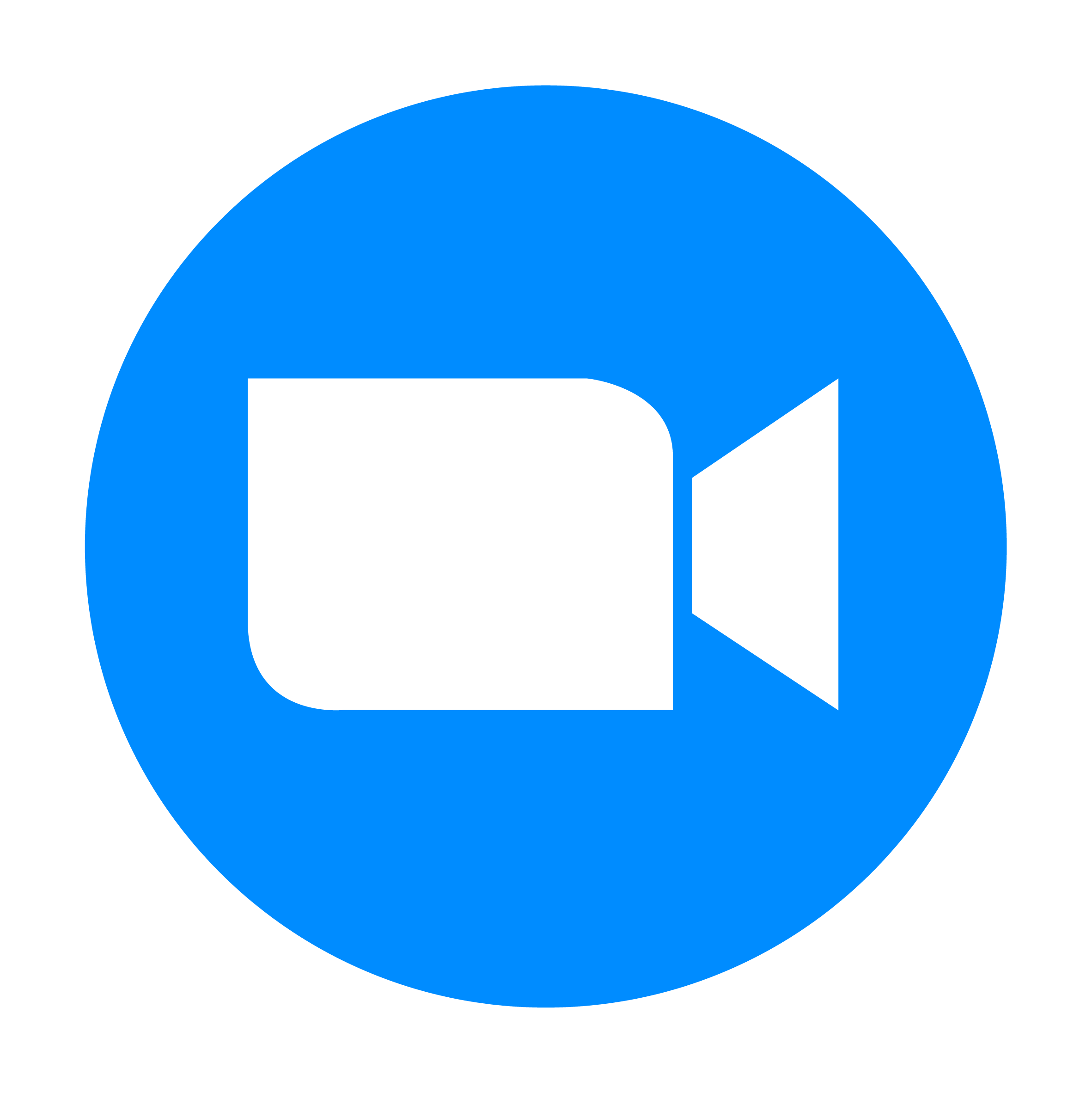 Imagen logo zoom